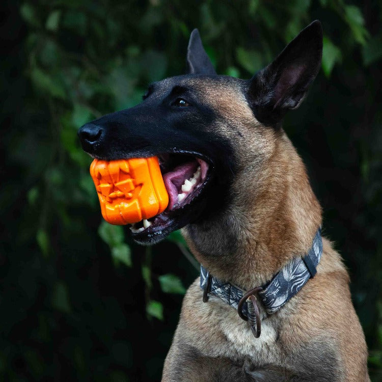 Jack O Lantern Dog Toy Durable Halloween Chew Toy For Large - gallery image 5