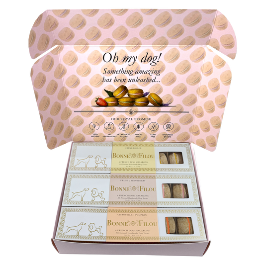 Dog Treats Macaron Combo Gift Box 18 French Macarons Essenti - main product image for dog treats