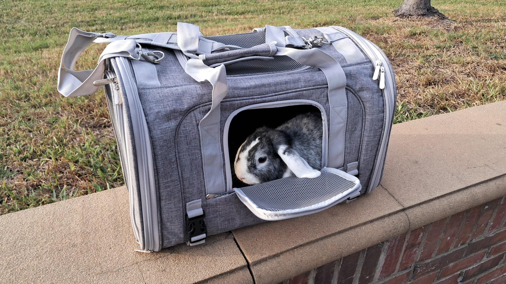 Mr. Peanut's Monterey Series Airline Compliant Horizontal Backpack Pet Carrier - gallery image 40