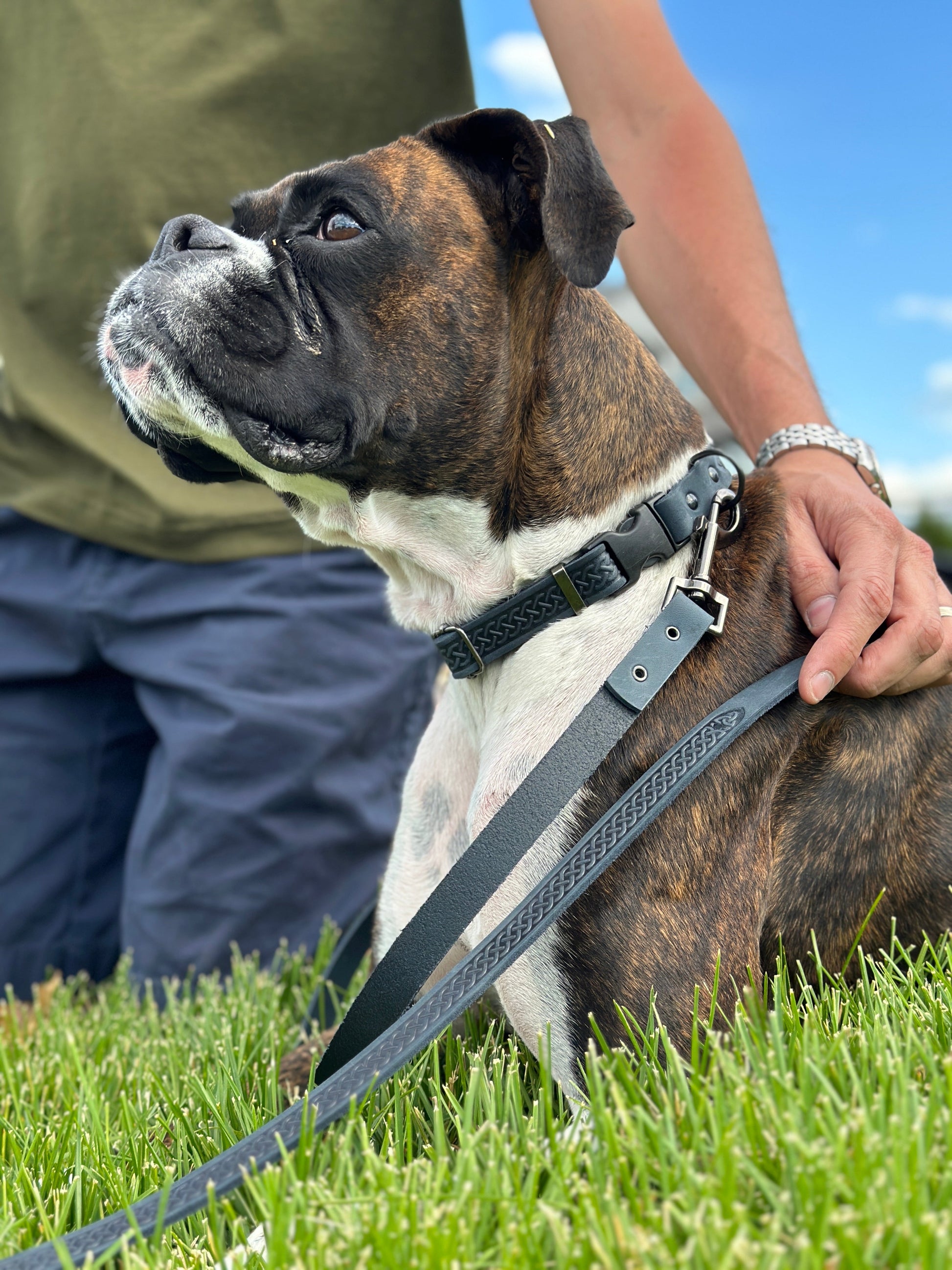 Dog Collar Celtic Sport Blue Jeans Leather Leash for Comfort main product image for dogs and cats