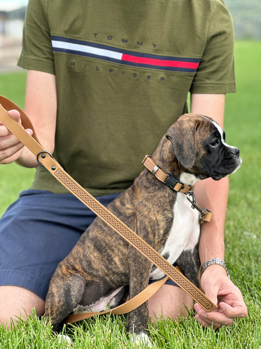 Dog Collar Celtic Sport Khaki Leather Leash for Daily Use - detail product image for dog collar
