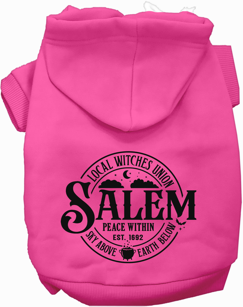 Dog Hoodie Salem Witches Union for Festive Halloween Pet - lifestyle view