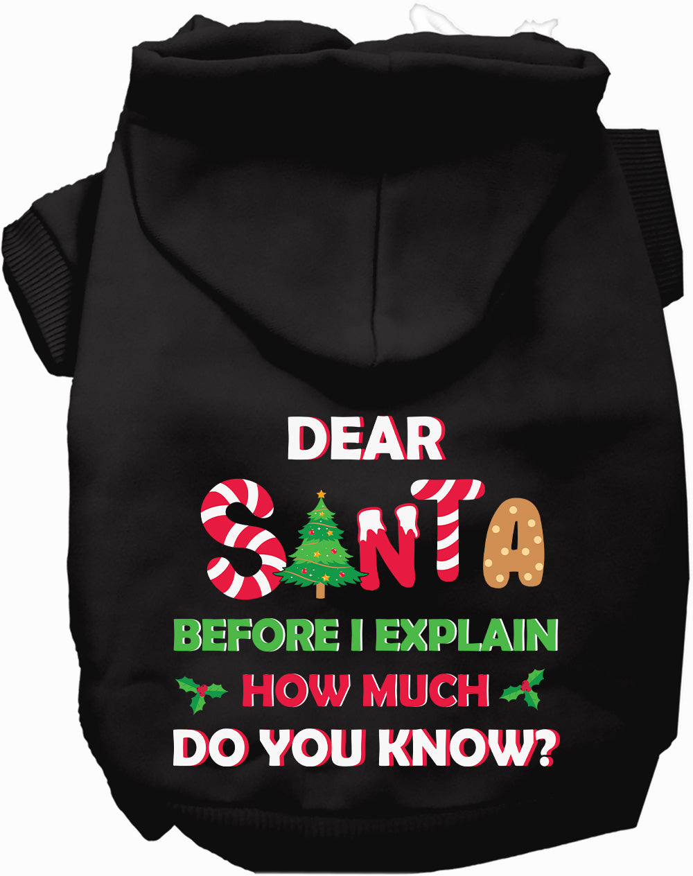 Dog Hoodie Santa How Much Do You Know for Festive Holiday - main product image