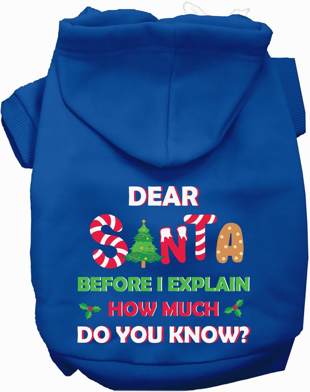 Dog Hoodie Santa How Much Do You Know for Festive Holiday - close up view