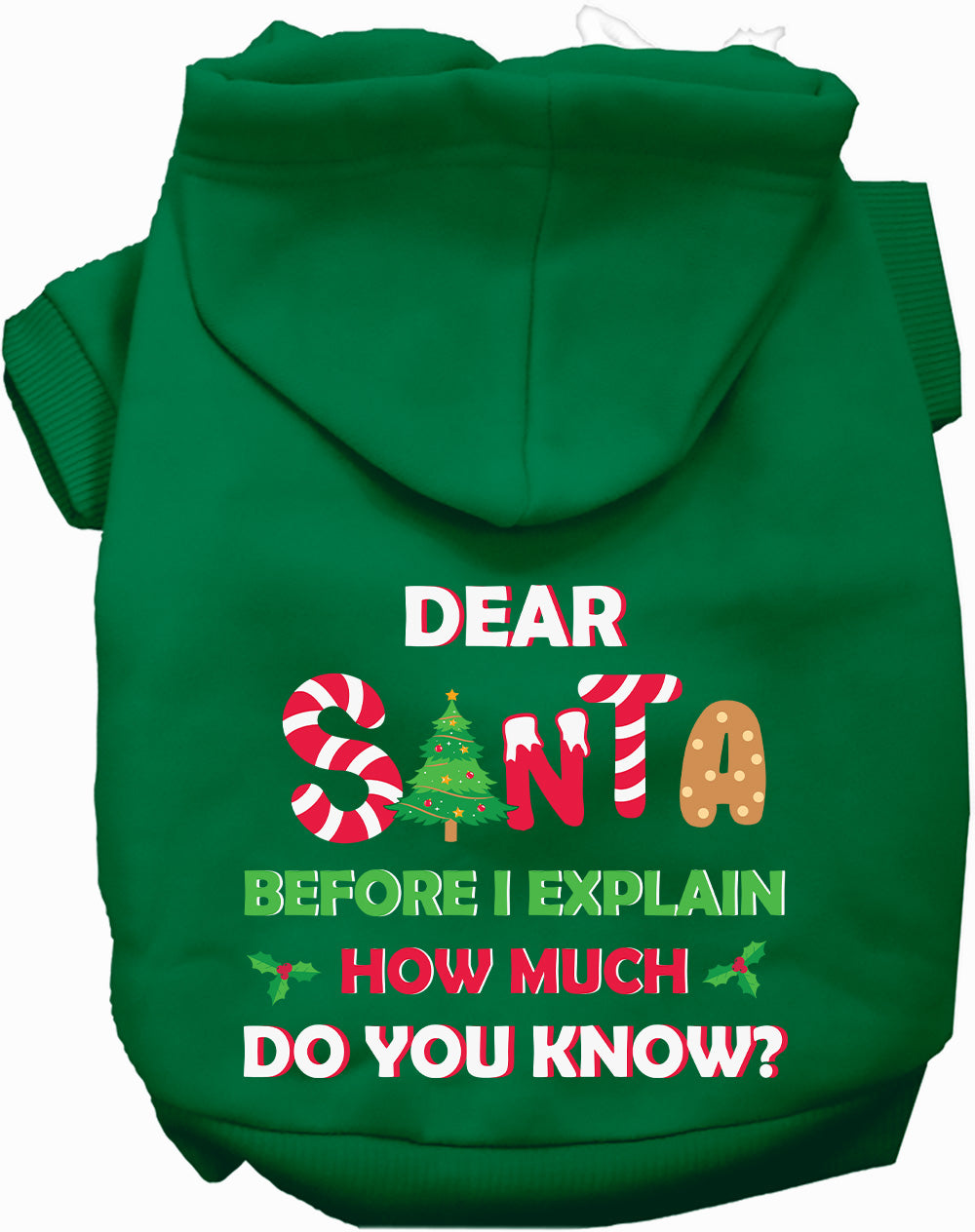 Dog Hoodie Santa How Much Do You Know for Festive Holiday - lifestyle view