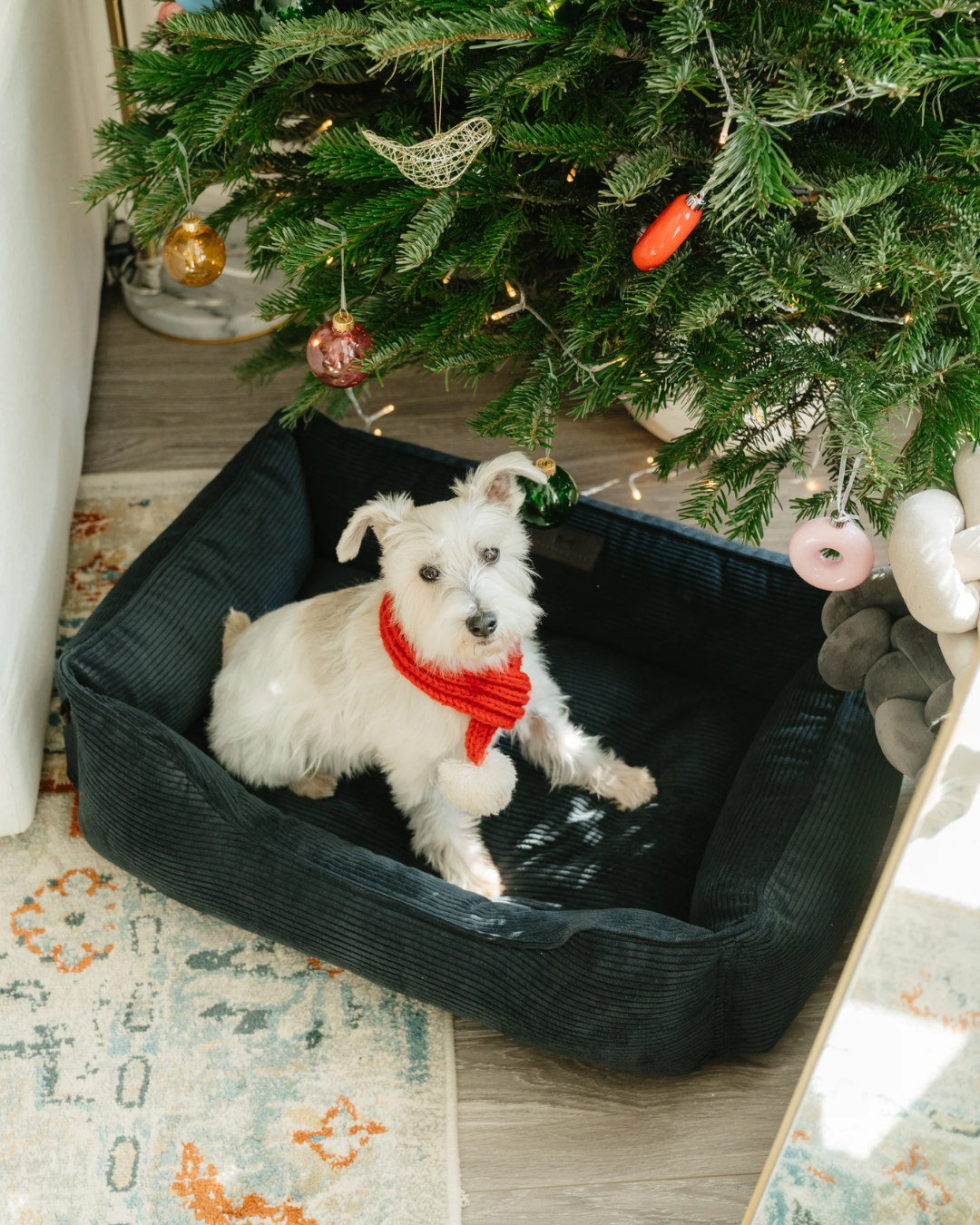 Luxury Dog Bed Fancy Corduroy Sleeper Graphite for Comfort - luxury dog bed view 3 for comfort and support