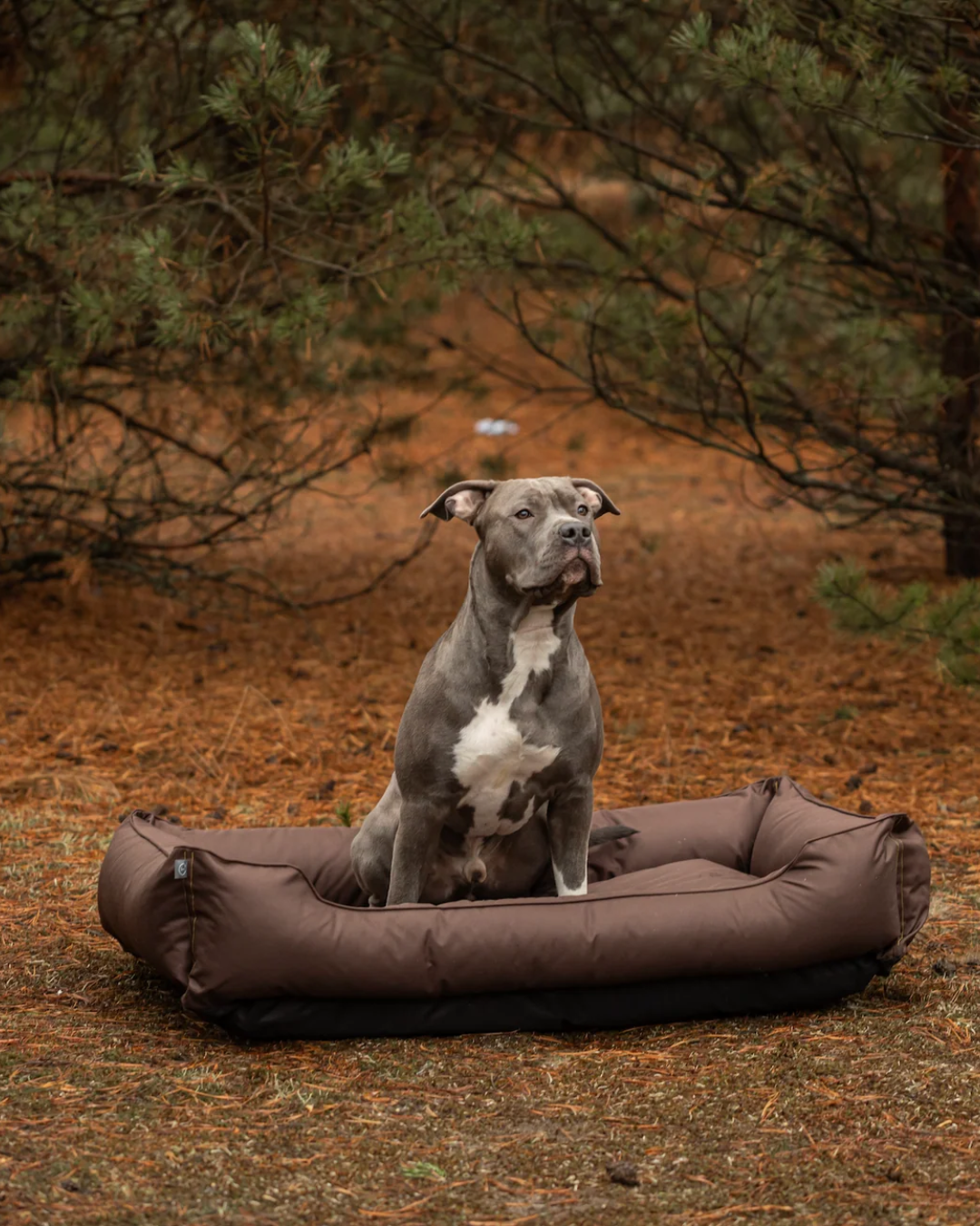 Waterproof Brown Sleeper for Firm Support and Daily Rest main product image for dogs