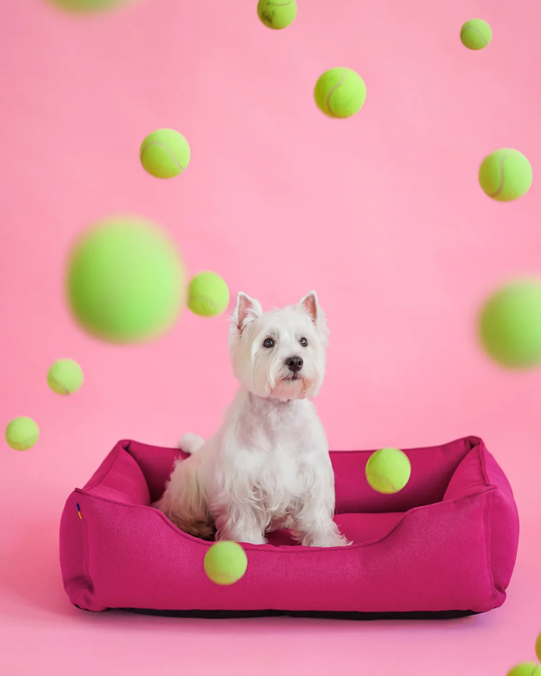 Luxury Dog Bed Cotton Sleeper Berry Pink for Comfort, Suppor - luxury dog bed view 2 for comfort and support
