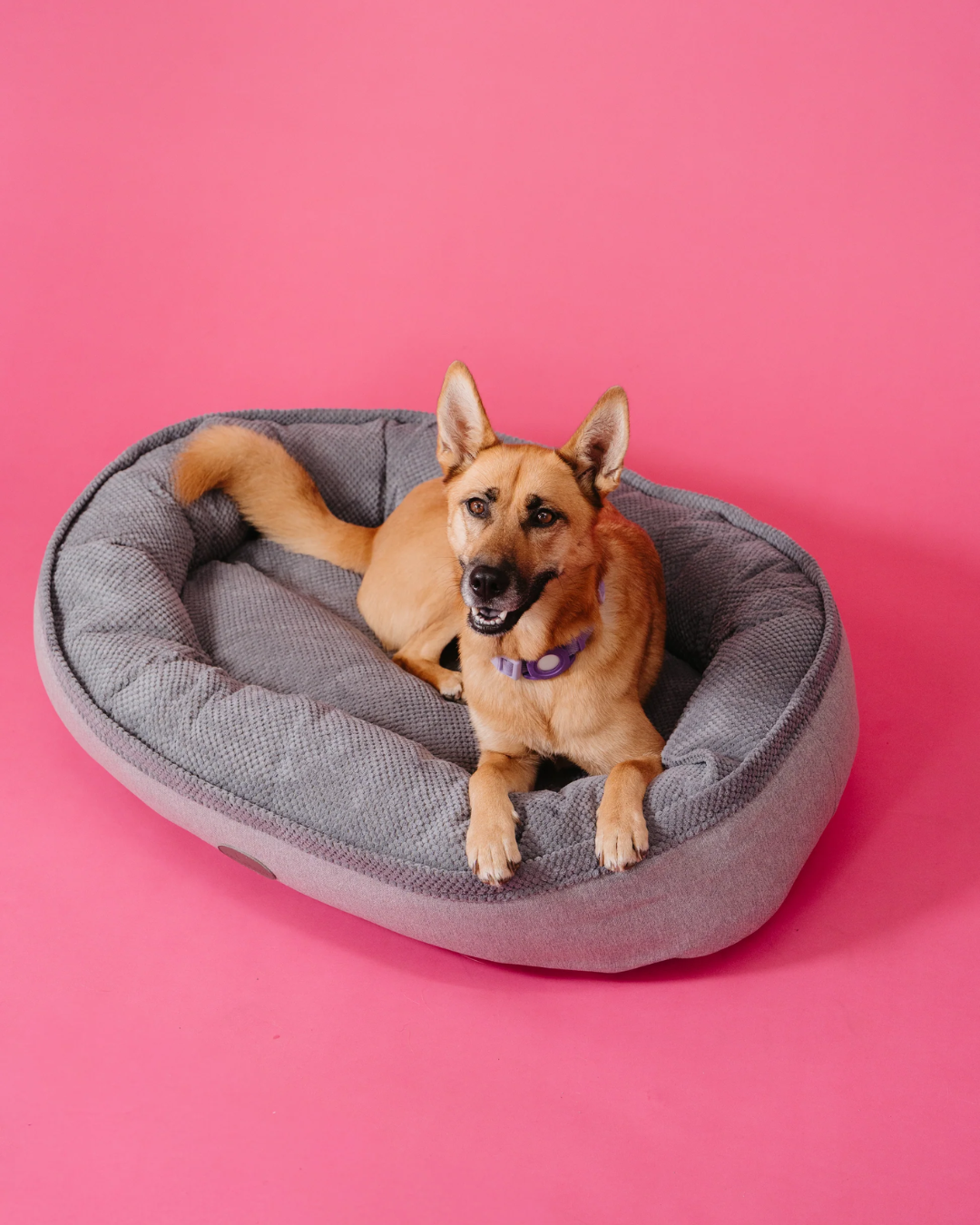 Luxury Dog Bed Furry Bagel for Comfort, Support & Style - luxury dog bed view 3 for comfort and support
