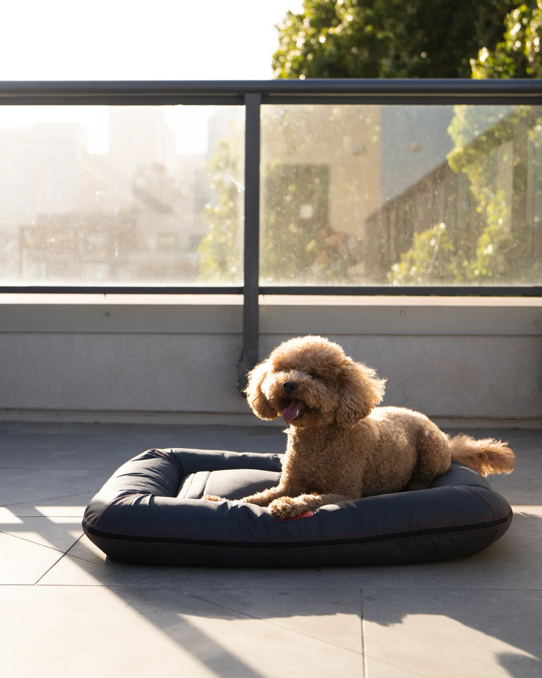 Luxury Dog Bed Waterproof Lounger Gray for Comfort, Support - luxury dog bed view 3 for comfort and support