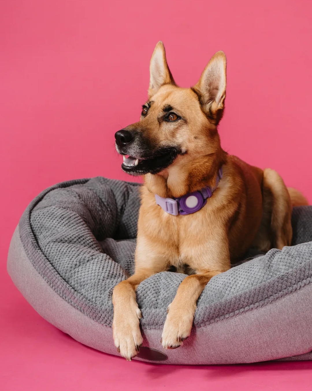 Luxury Dog Bed Furry Bagel for Comfort, Support & Style - luxury dog bed view 4 for comfort and support