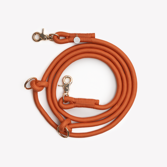 Terracotta Hands-Free Braided Leash for Dogs - Premium - detail view