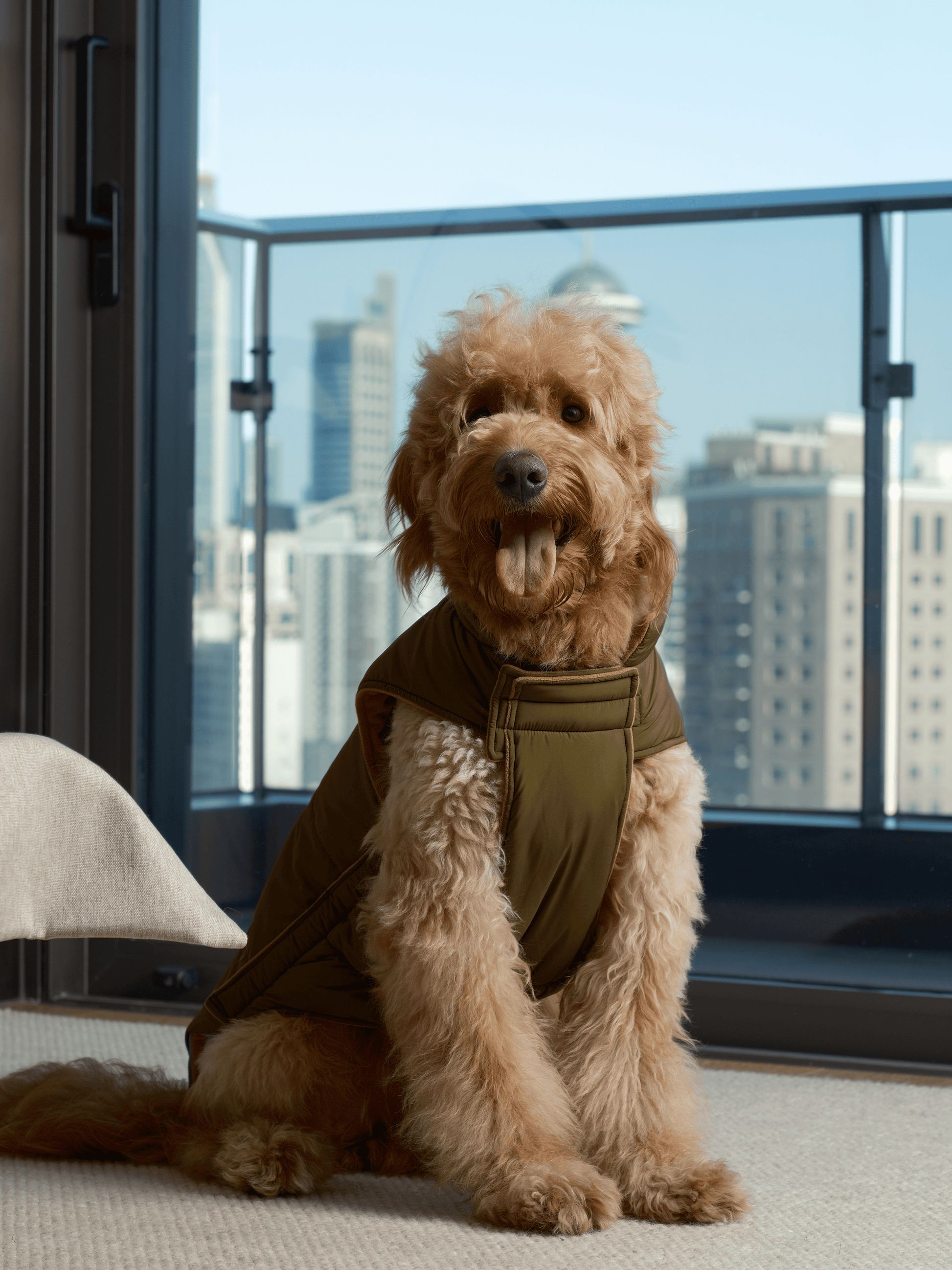 Reversible Dog Vest Jacket Green Brown Dog Apparel Premium - gallery image 5