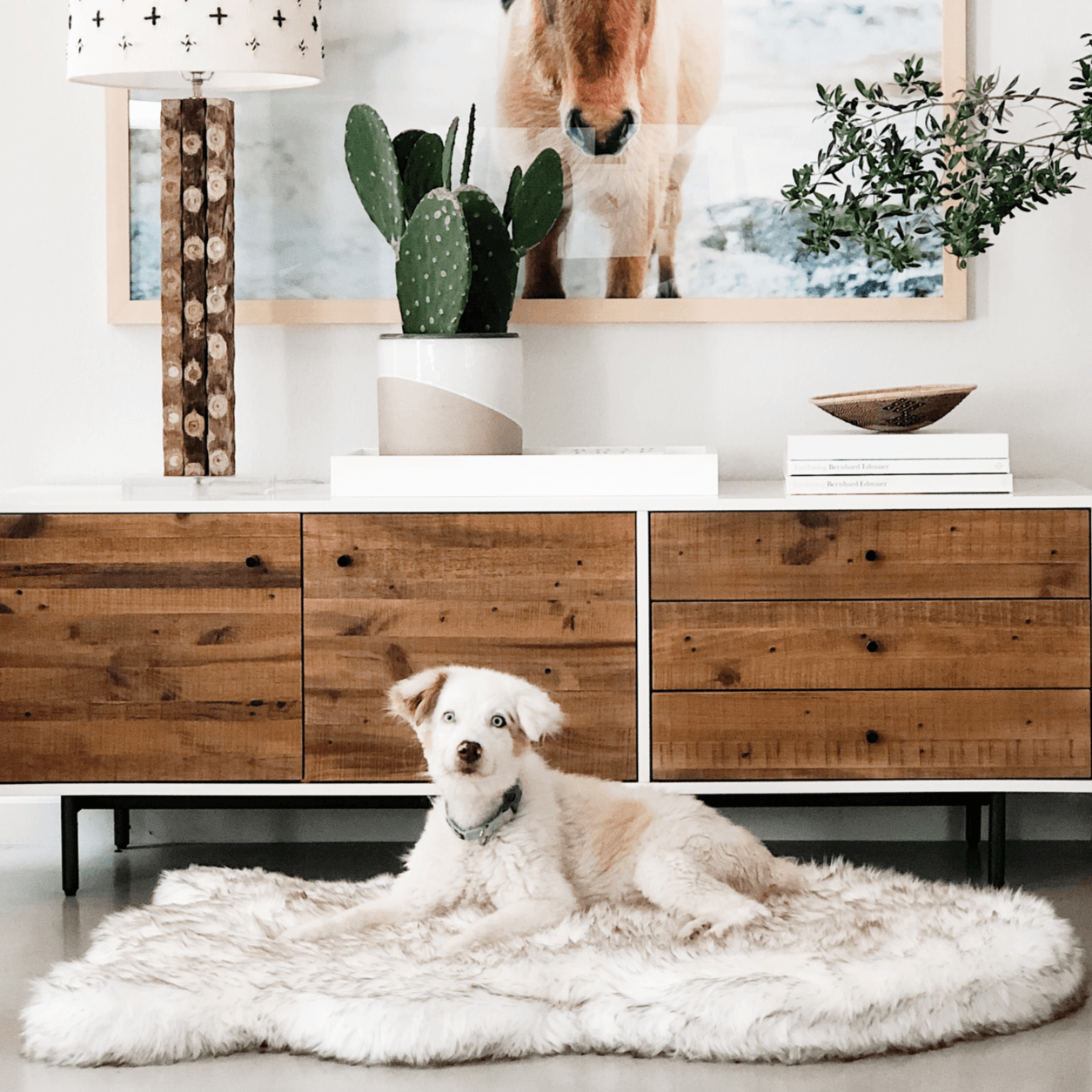 Puprug By Faux Fur Orthopedic Dog Bed Curve White - gallery image 11