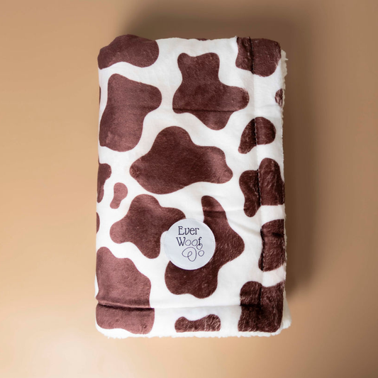 Dog Bed Chocolate Cow Blanket for Daily Use for Comfort - main product image for dog bed