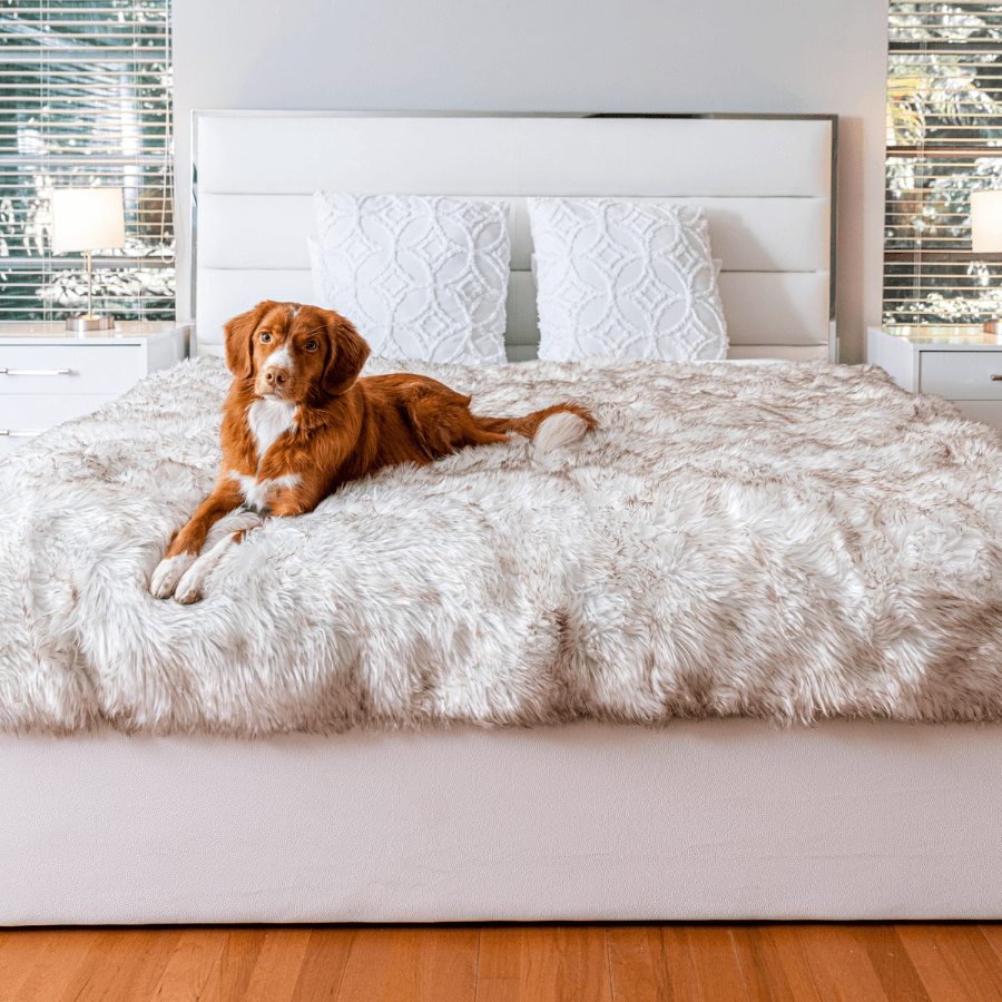 Pupprotector Waterproof Throw Blanket White With Brown Pet - gallery image 10