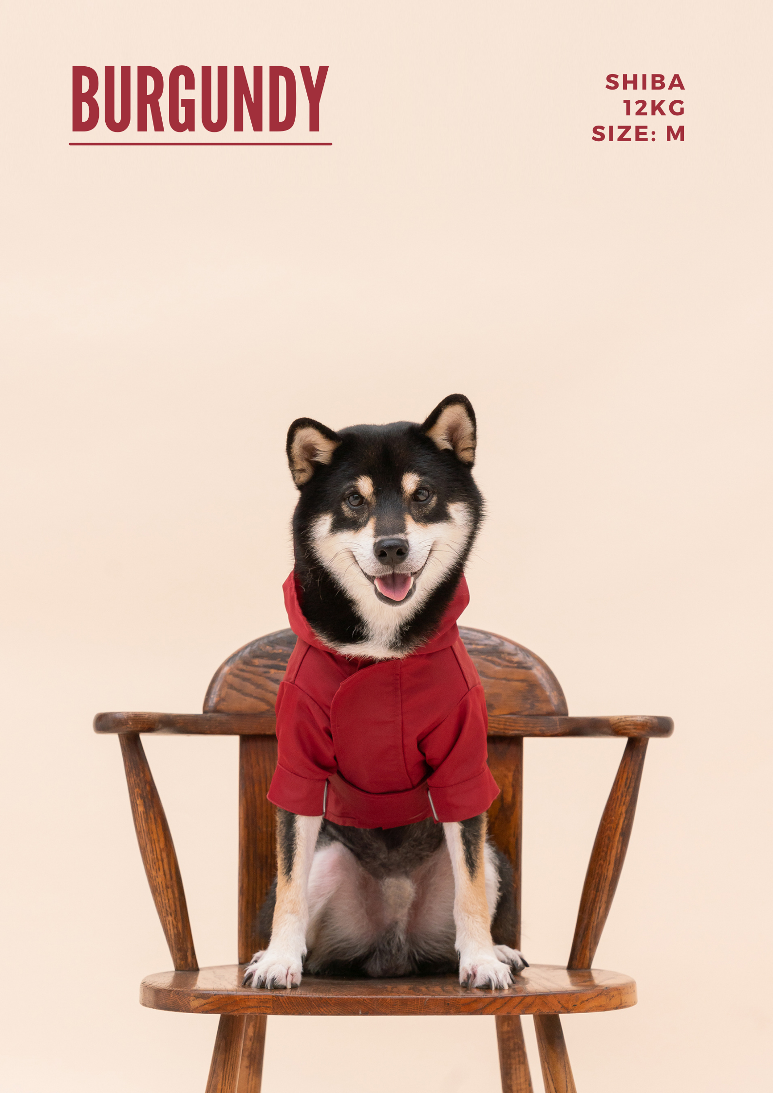 Tribeca Adjustable Velcro Raincoat Burgundy Dog Apparel Pet - gallery image 19