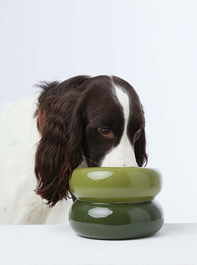 Pet Feeders & Bowls Adjustable Green Premium Pet Supply - main product image