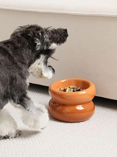 Souffle Pet Bowl Amber Orange Pet Feeding Hydration Supply - main product image