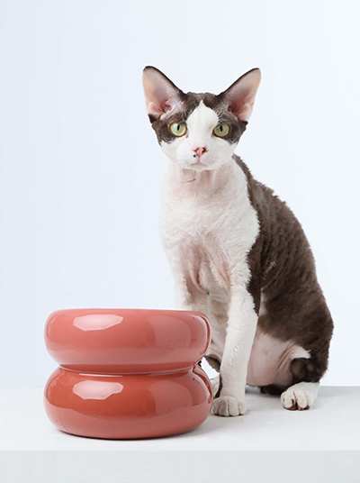 Souffle Pet Bowl Rose Pink Pet Feeding Hydration Supply - main product image