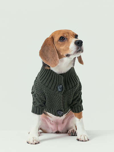 Bert Cardigan Sweater Dark Green Dog Apparel Premium Pet - main product image