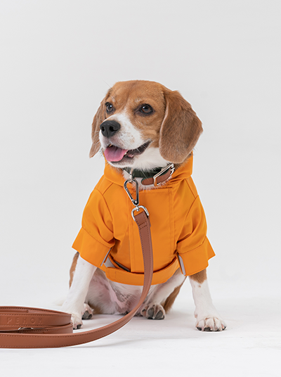 Tribeca Adjustable Velcro Raincoat Egg Yolk Dog Apparel Pet - lifestyle view