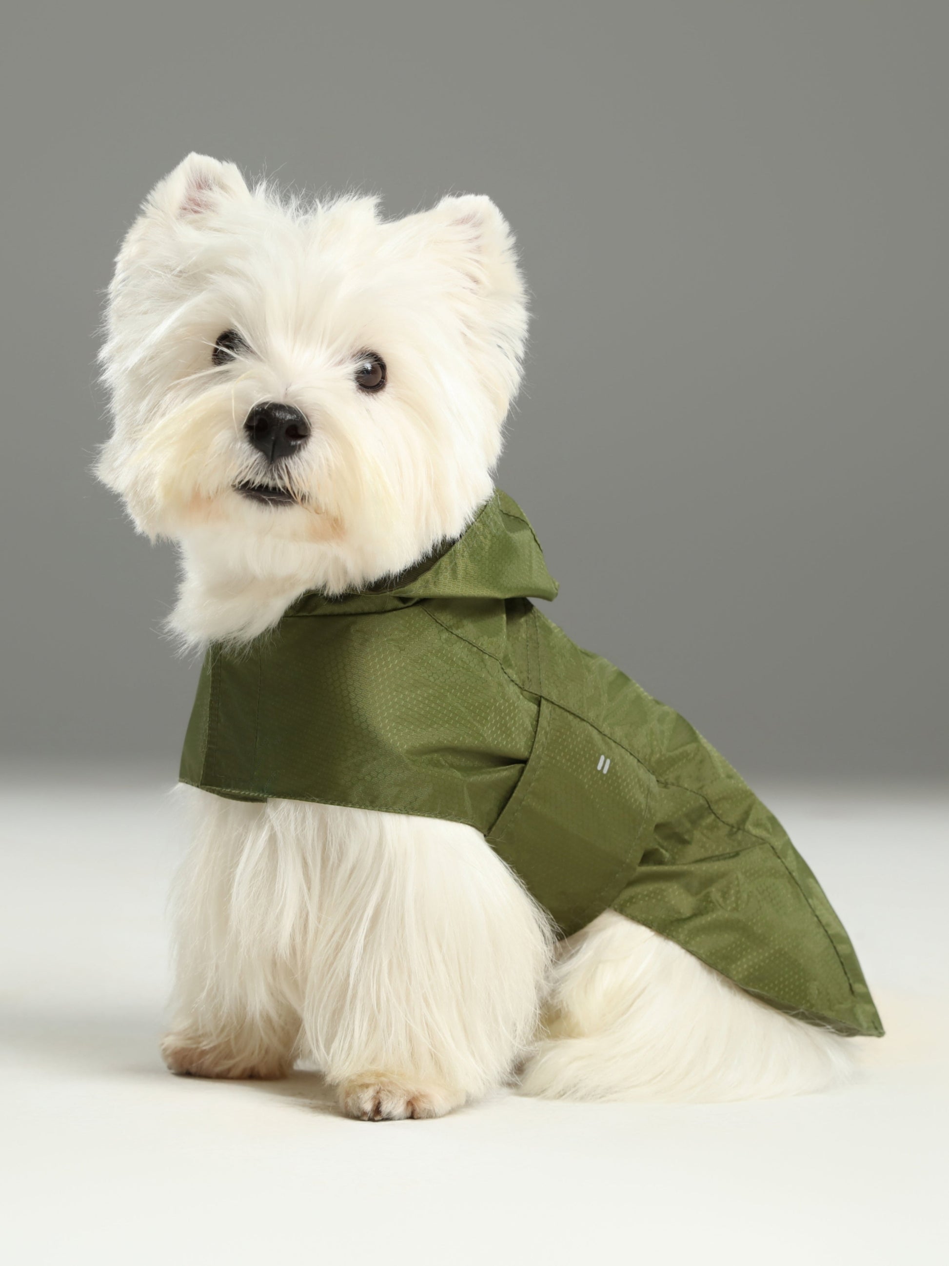 Capsule Raincoat Green Dog Apparel Premium Pet Supply - main product image