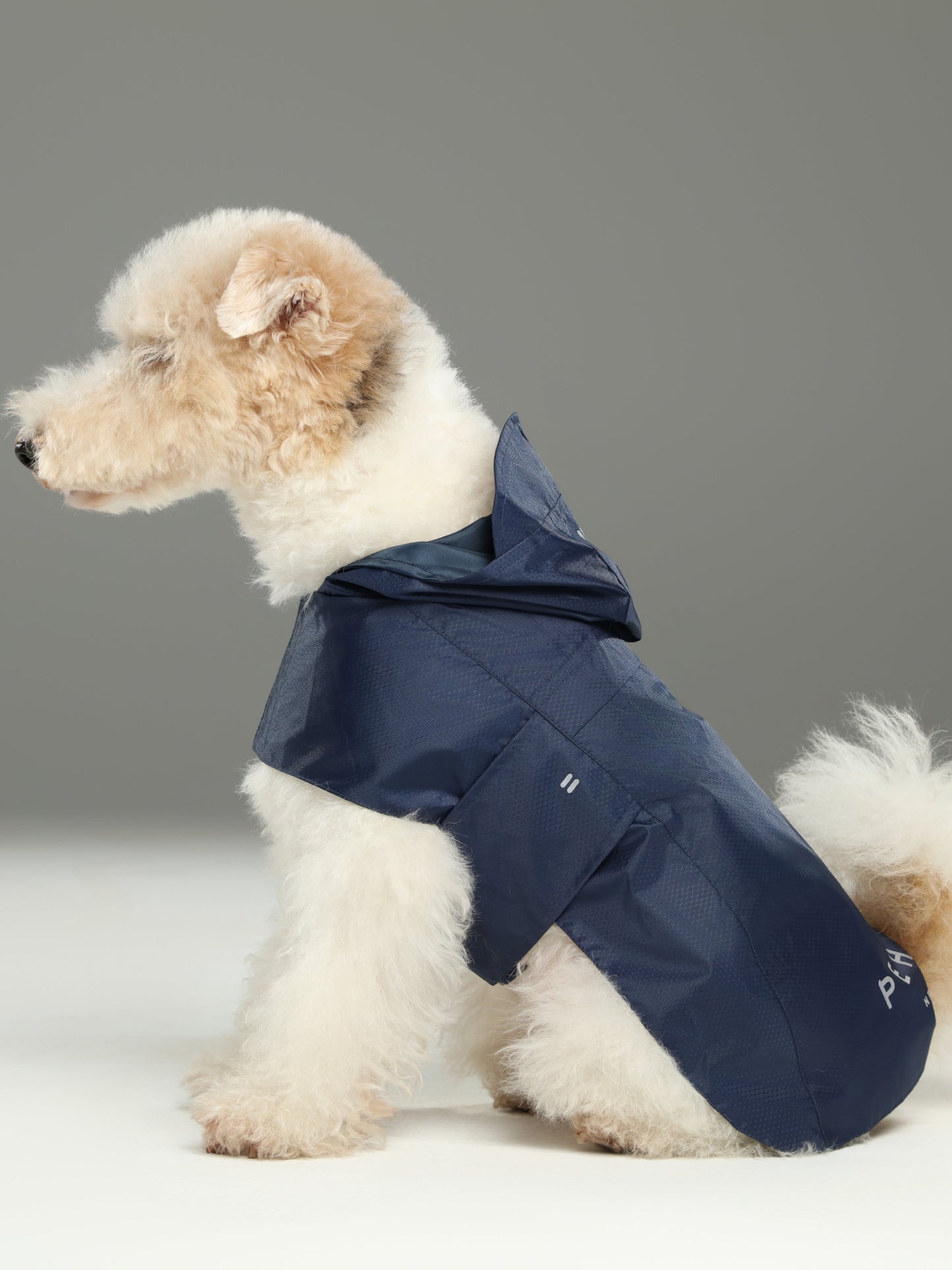 Capsule Raincoat Blue Dog Apparel Premium Pet Supply Premium - main product image