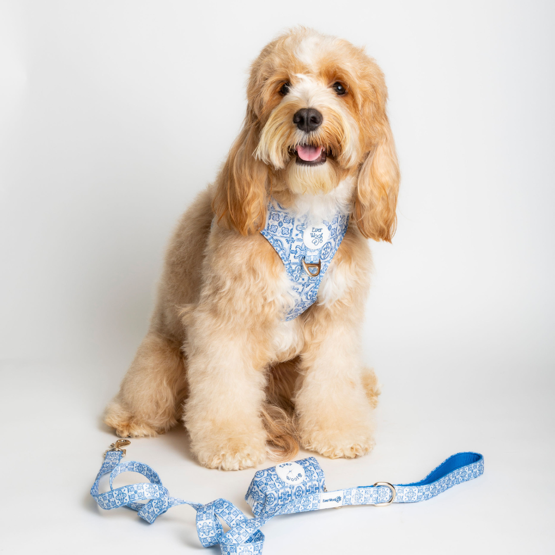 Pet Waste Bag Holder Santorini Waste Bag for for Daily Use - lifestyle product image for pet waste bag holder
