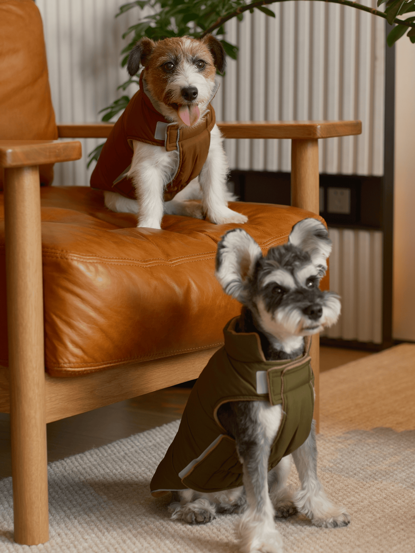 Reversible Dog Vest Jacket Green Brown Dog Apparel Premium - gallery image 6