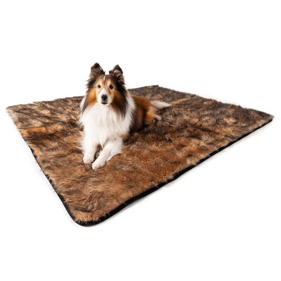 Pupprotector Waterproof Throw Blanket Sable Tan Washable - lifestyle view