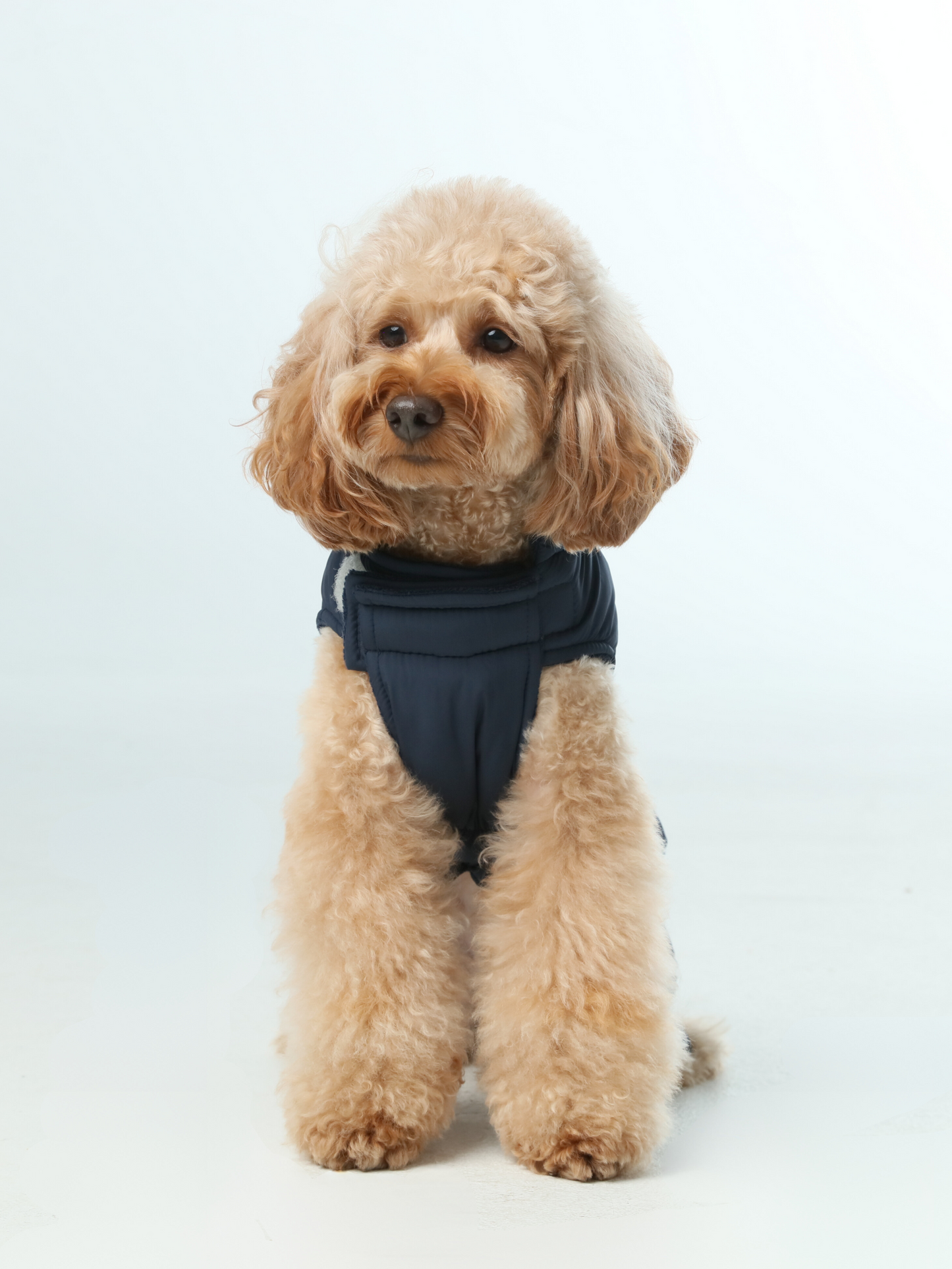 Reversible Dog Vest Jacket Blue Dog Apparel Premium Pet - detail view