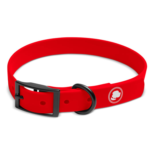 Dog Collar Collar Ruby Red Weather Adjustable Walking Collar - main product image for dog collar