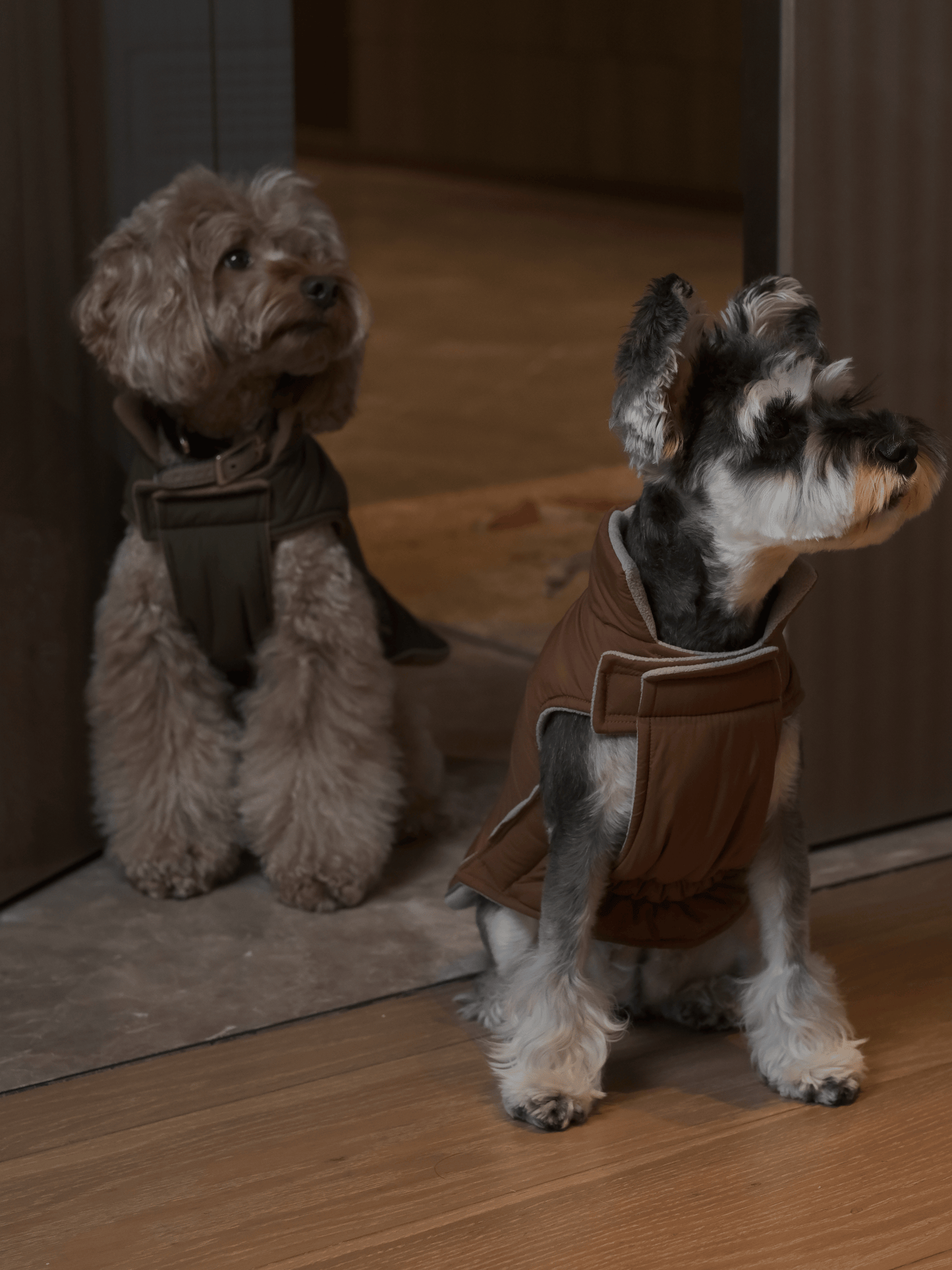 Dog Apparel Active Outdoor Wear Adjustable Grey Comfort - gallery image 7