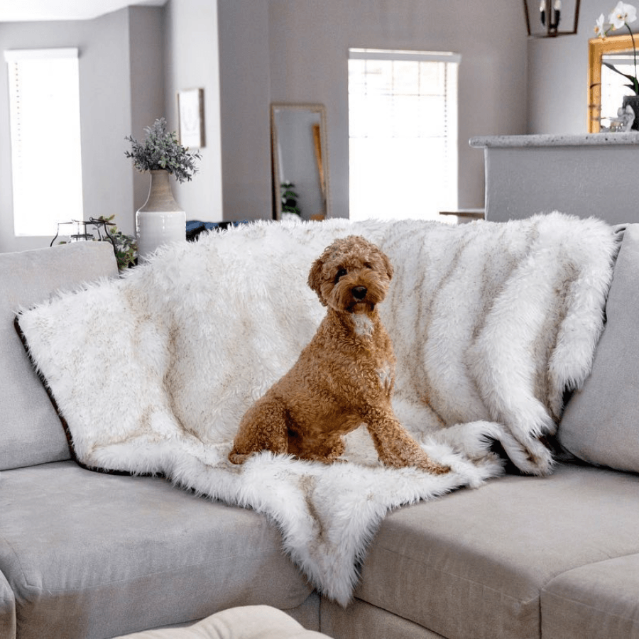 Pupprotector Waterproof Throw Blanket White With Brown Pet - gallery image 7