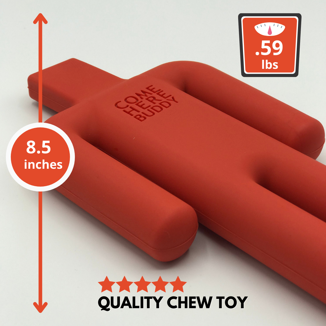 Dog Chew Toy - lifestyle view