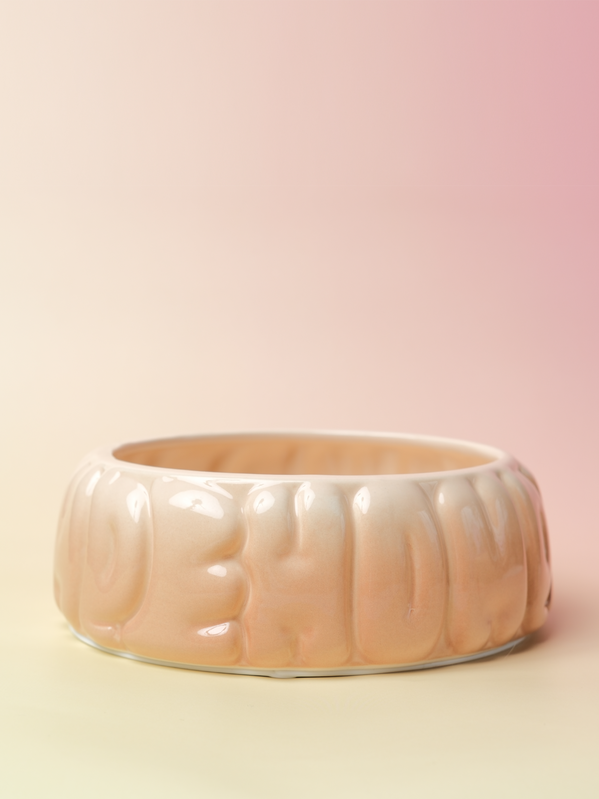 Puff Pet Bowl Gradient Caramel Pet Feeding Hydration Supply - main product image