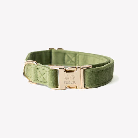 Dog Collars 'Green' Velvet Dog Collar Premium Pet Supply - main product image