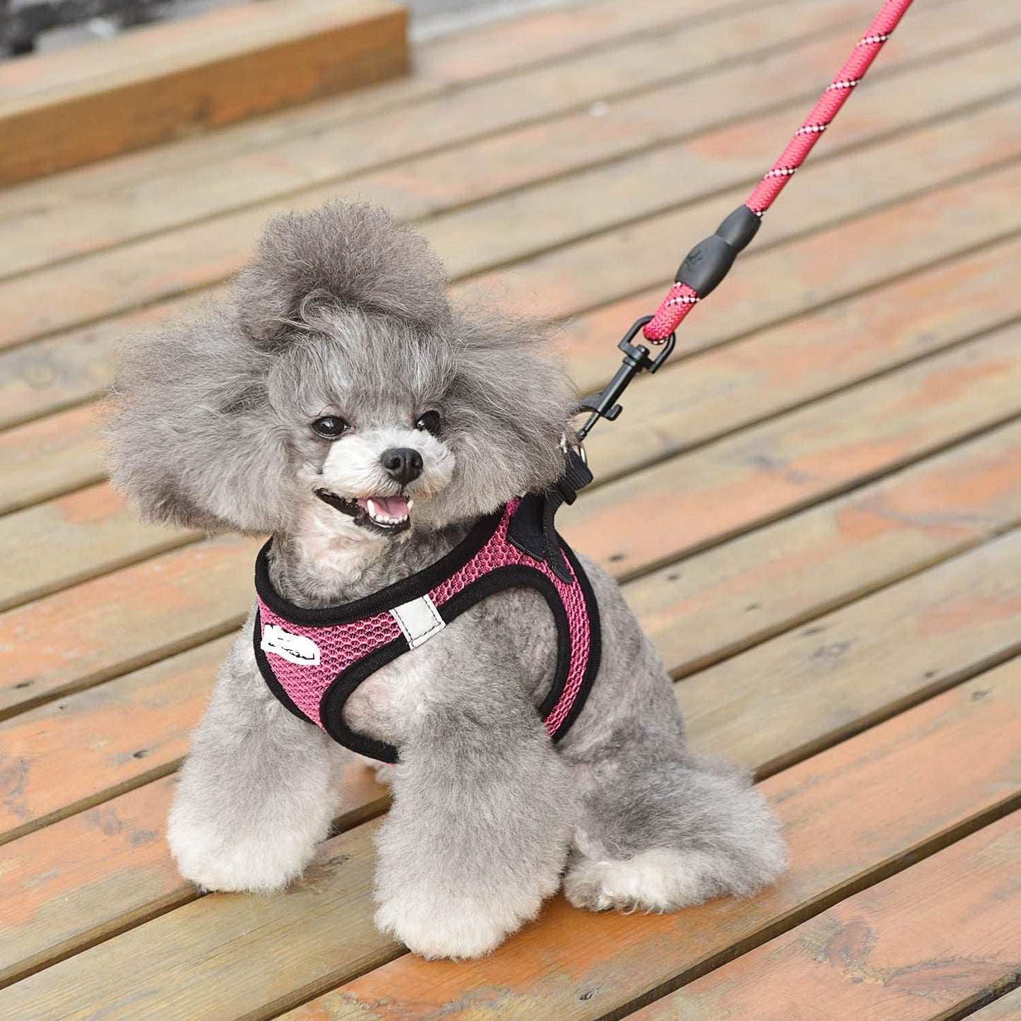 Reflective Harness Dog Leash Adjustable Dog Walking Gear - lifestyle view