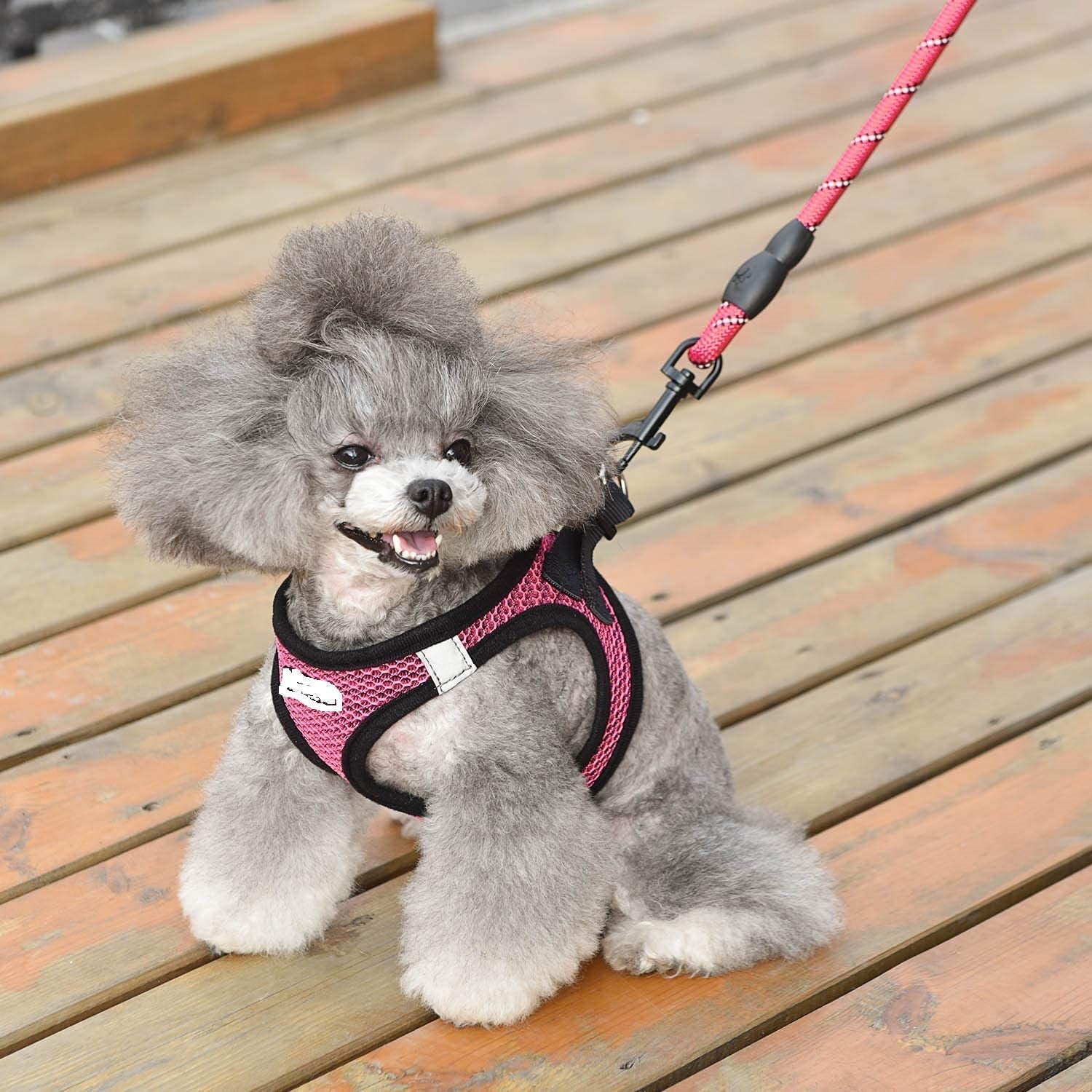 Reflective Harness Dog Leash Adjustable Dog Walking Gear - lifestyle view