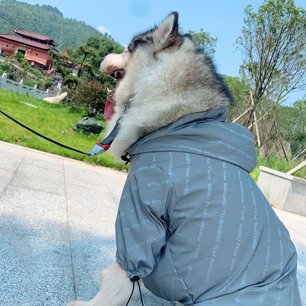Reflective Letters Pet Parent Child Windbreaker Dog Training - gallery image 5