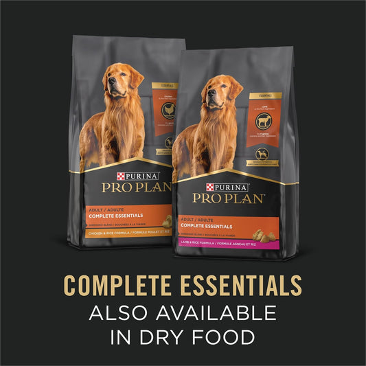 Wet Dog Food Premium Turkey Recipe 13oz Daily Meals Premium - detail view