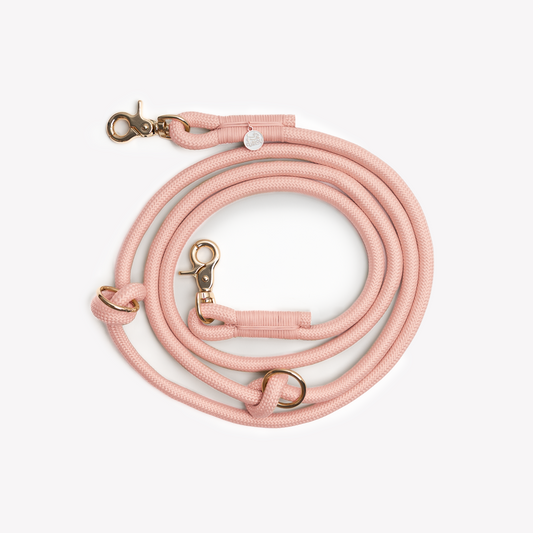 Powder Rose Hands-Free Braided Leash for Dogs - Premium - detail view