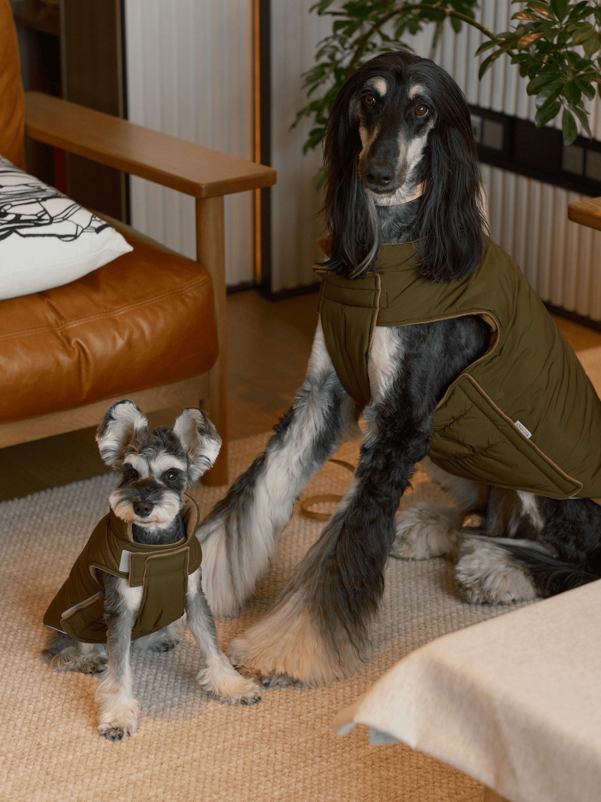 Reversible Dog Vest Jacket Green Brown Dog Apparel Premium - gallery image 9