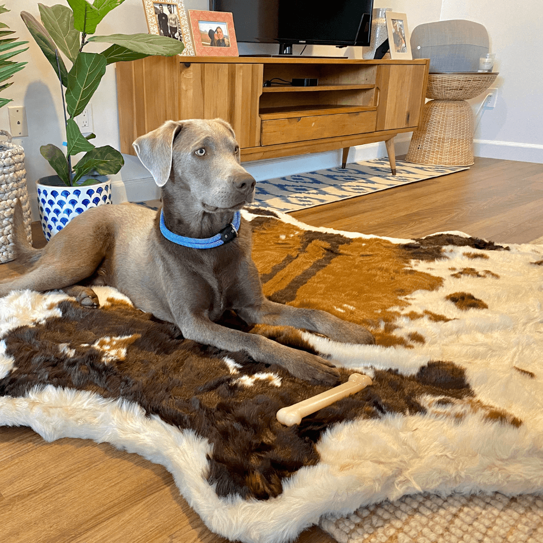 Memory Foam Dog Bed Faux Fur Brown Orthopedic Comfort Premiu - close up view