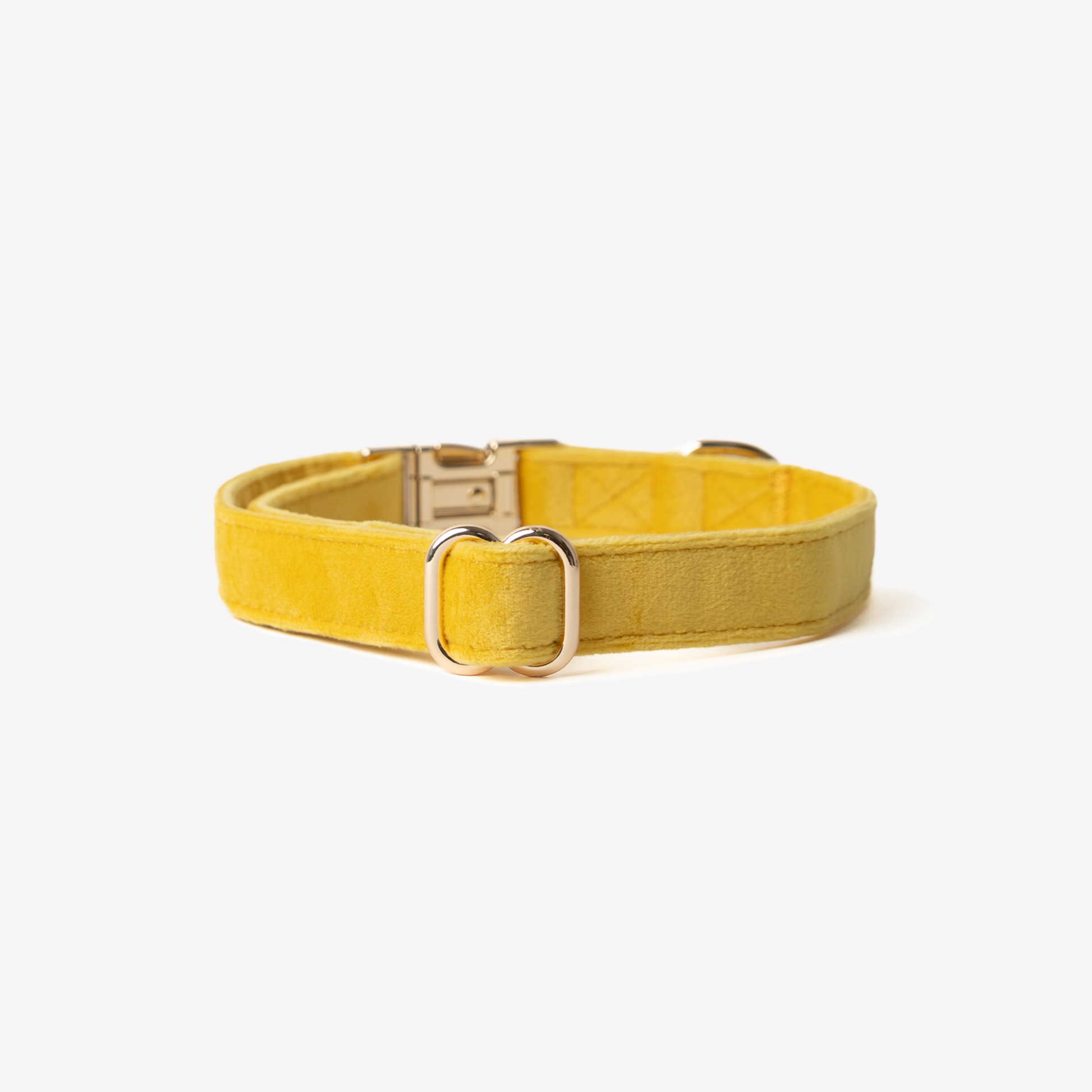 Dog Collars 'Yellow' Velvet Dog Collar Premium Pet Supply - detail view