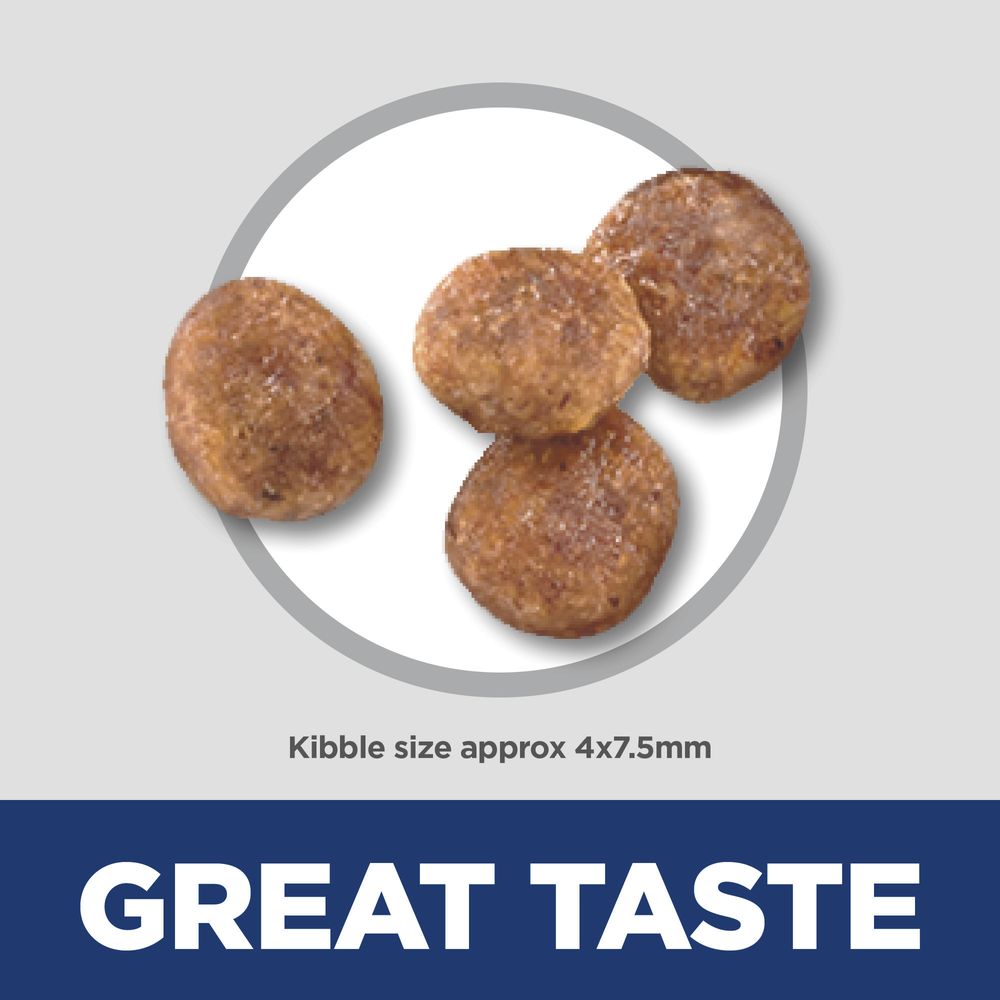 Hills Science Diet Adult Small Mini Chicken Meal Rice Recipe - lifestyle view