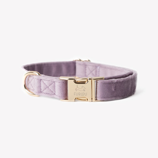 Dog Collars 'Lilac' Velvet Dog Collar Premium Pet Supply - main product image
