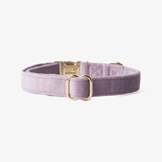 Dog Collars 'Lilac' Velvet Dog Collar Premium Pet Supply - detail view