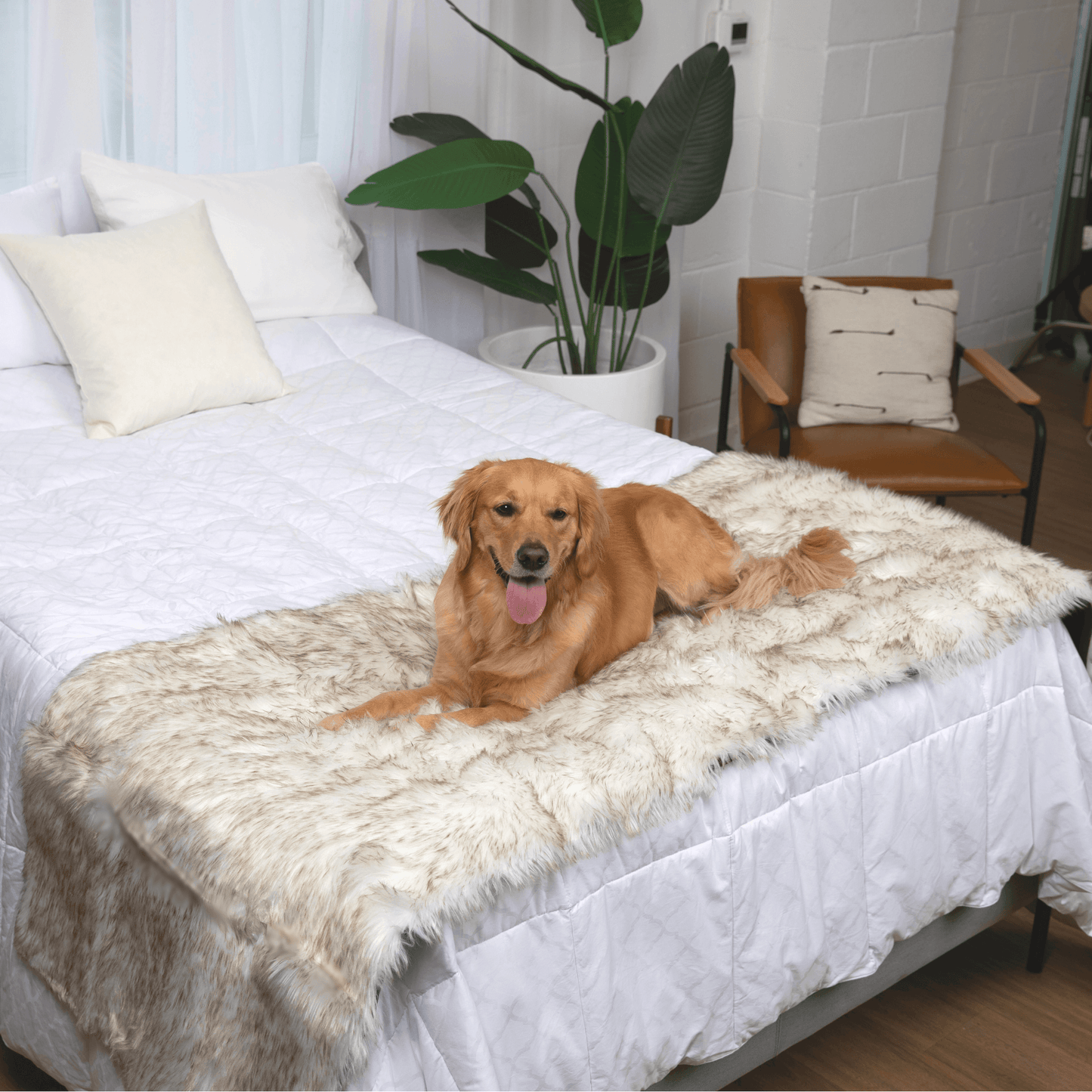 Pupprotector Waterproof Bed Runner White With Brown Accents - main product image